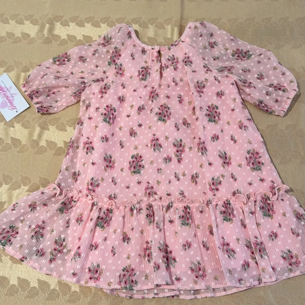 Bonnie Jean Trapeze Dress. Size 2T